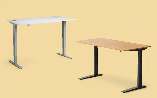 FLEXISPOT E6 Pro 60x30 Bamboo Electric Standing Desk